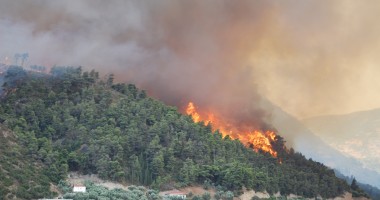 Stire din Actualitate : Incendii de vegetație în Grecia, Atena a cerut ajutorul UE