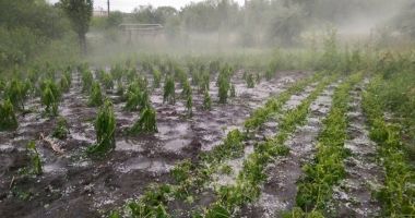 COD PORTOCALIU ÎN DOBROGEA! Avertizare de grindină