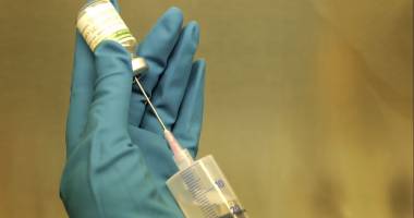 Pericol de gripă porcină! Autoritățile au aprobat măsurile de prevenire și combatere