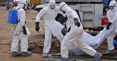 Stire din Social : Jale la malul Dunării! Gripa porcină  se extinde în județul Constanța