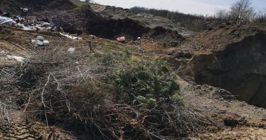 Groapă de deşeuri lângă situl Natura 2000 Fântâniţa Murfatlar - 4