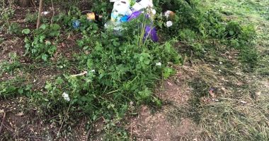 Galerie foto. Mormane de gunoaie și grâu călcat în picioare de petrecăreți, după 1 Mai - 4
