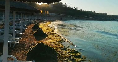 Înghesuială și mizerie! Plajele, sufocate sub gunoaie! - 2
