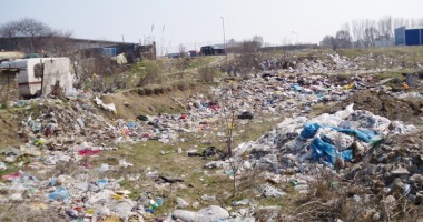 Ce se ascunde în spatele celui mai mare mall din Constanța - 4