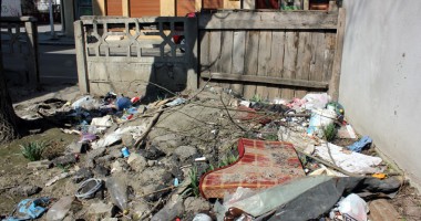 Șobolanii invadează centrul comercial al Constanței - 2