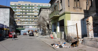 Șobolanii invadează centrul comercial al Constanței - 4
