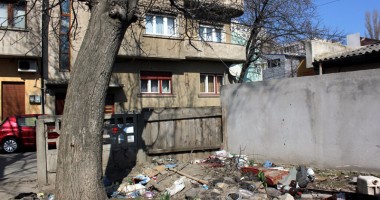 Șobolanii invadează centrul comercial al Constanței - 6