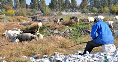 Locuiesc într-o groapă de gunoi - 4