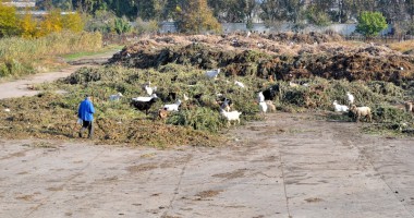 Locuiesc într-o groapă de gunoi - 3