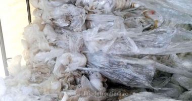 O nouă cantitate imensă de deșeuri, oprită la intrarea în România