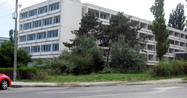 Stire din Economie : Guvernul pregătește  o nouă lovitură pentru firme
