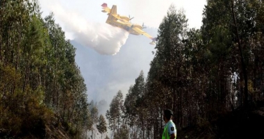 Stire din Actualitate : UN AVION S-A PRĂBUȘIT ÎN PORTUGALIA, ÎN TIMP CE ȚARA ESTE DEVASTATĂ DE INCENDII