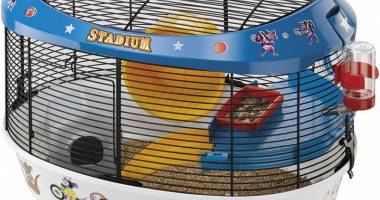 Stire din Cetățenești : Cum ajutați hamsterii să nu se plictisească