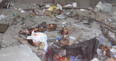 Hanul Balcan: din monument istoric, focar de infecție! - 6