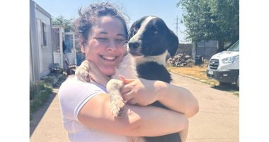 Stire din Social : Happy, un cățel blând și prietenos, și-a găsit stăpâna ideală!