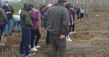 Stire din Politică-Administrație : Primăria Hârşova, sprijin pentru plantarea a 4.000 de plopi în apropierea oraşului