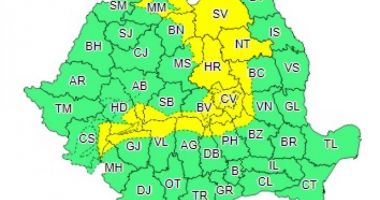COD GALBEN de ninsori, viscol și vreme rece - 2