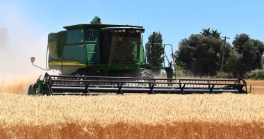 România, în topul producătorilor de cereale din UE