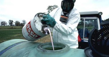 Stire din Social : Pesticide de 450 de ori peste limită în verdețurile din piață