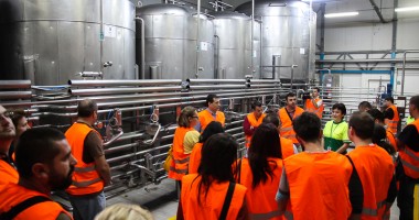 Heineken dezvăluie constănțenilor secretele fabricării berii - 4