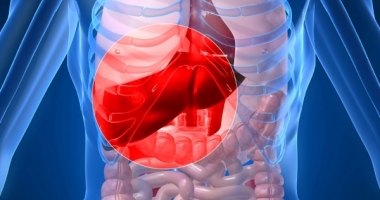 Tot ce trebuie să știți despre hepatita B
