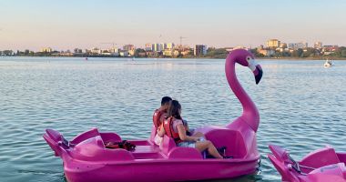 Stire din Cultură-Educație : Timp Liber. Preferați un flamingo sau o lebădă? Plimbări de neuitat pe lacul Tăbăcărie