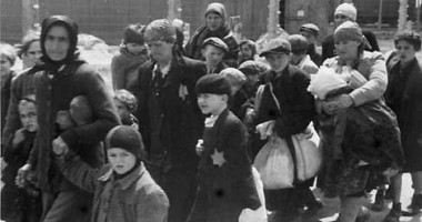 Stire din Cultură-Educație : Profesorii de istorie vor participa la stagii de perfecționare despre Holocaust