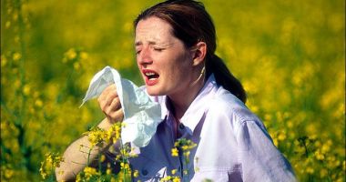 Stire din Sănătate : Contaminarea cu polen de ambrozie a atins niveluri periculoase. Ce spun specialiștii