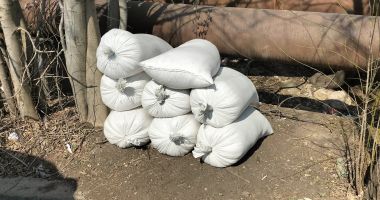 Hoți de cereale, prinși de polițiștii locali constănțeni - 3