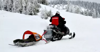 Stire din Eveniment : S-a dat alarma! Trei copii s-au rătăcit într-o zonă împădurită