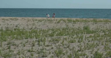 Mamaia, din stațiune la... pajiște! Turiștii fac plajă printre buruieni