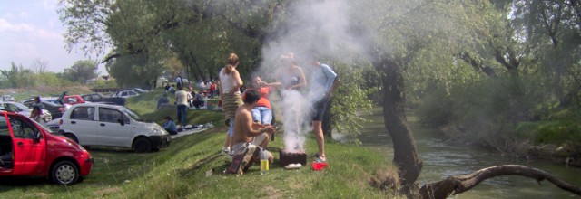 Stire din Social : Ce riscați dacă mergeți la picnic în locuri care nu sunt special amenajate