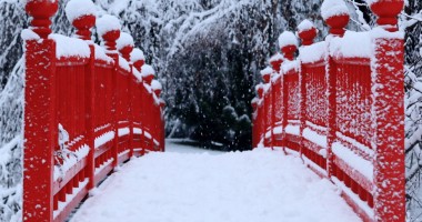 Stire din Actualitate : Ninsori puternice  în Japonia