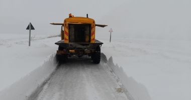 GALERIE FOTO-VIDEO. Iarnă în judeţul Constanţa - 2