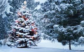 Stire din Social : Cum va fi vremea de Crăciun și de Revelion. Prognoza meteo pentru următoarele patru săptămâni