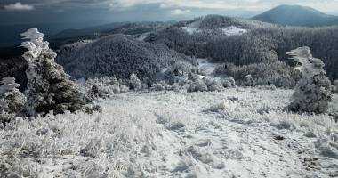 IMAGINI DE BASM / Natura transformată în sculpturi de gheață - 3