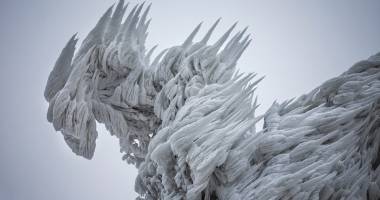 IMAGINI DE BASM / Natura transformată în sculpturi de gheață - 4