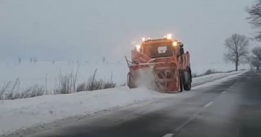 GALERIE FOTO-VIDEO. Iarnă în judeţul Constanţa - 4