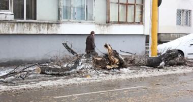 Ce a adus prima ninsoare în județul Constanța - 2