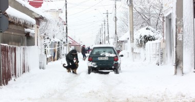 Ce a adus prima ninsoare în județul Constanța - 5