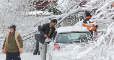 Ce a adus prima ninsoare în județul Constanța - 8