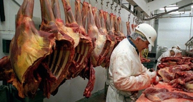 Iată cum a evoluat producția de carne