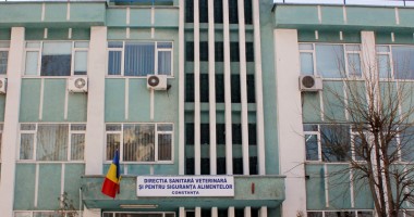 Stire din Eveniment : Iată cum "opera" medicul  din cadrul DSVSA luat  în vizor de DNA