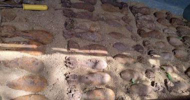 Stire din Eveniment : Aproape 50 de bombe de aruncător din Al Doilea Război Mondial, descoperite într-o pădure