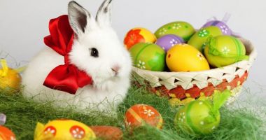 Stire din Eveniment : Viorica Dăncilă: Sărbători luminate și binecuvântate credincioșilor care sărbătoresc Paștele și urări de bine pentru Florii