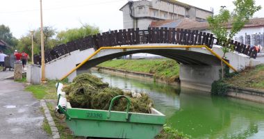 Stire din Social : Canalul care face legătura între lacurile Tăbăcărie și Siutghiol a fost igienizat