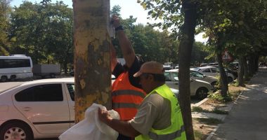 Schimbare pe marile bulevarde, din Constanța! Se anunță amenzi! - 2