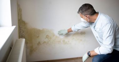 Stire din Sănătate : Mucegaiul poate declanșa atacuri de astm la persoanele alergice
