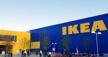 Ikea a mai cumpărat 12.800 de hectare de pădure în România