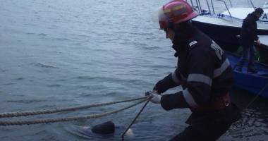 IMAGINI ȘOCANTE! TRAGEDIE! PERSOANĂ GĂSITĂ ÎNECATĂ, ÎN PORT / UPDATE - 5